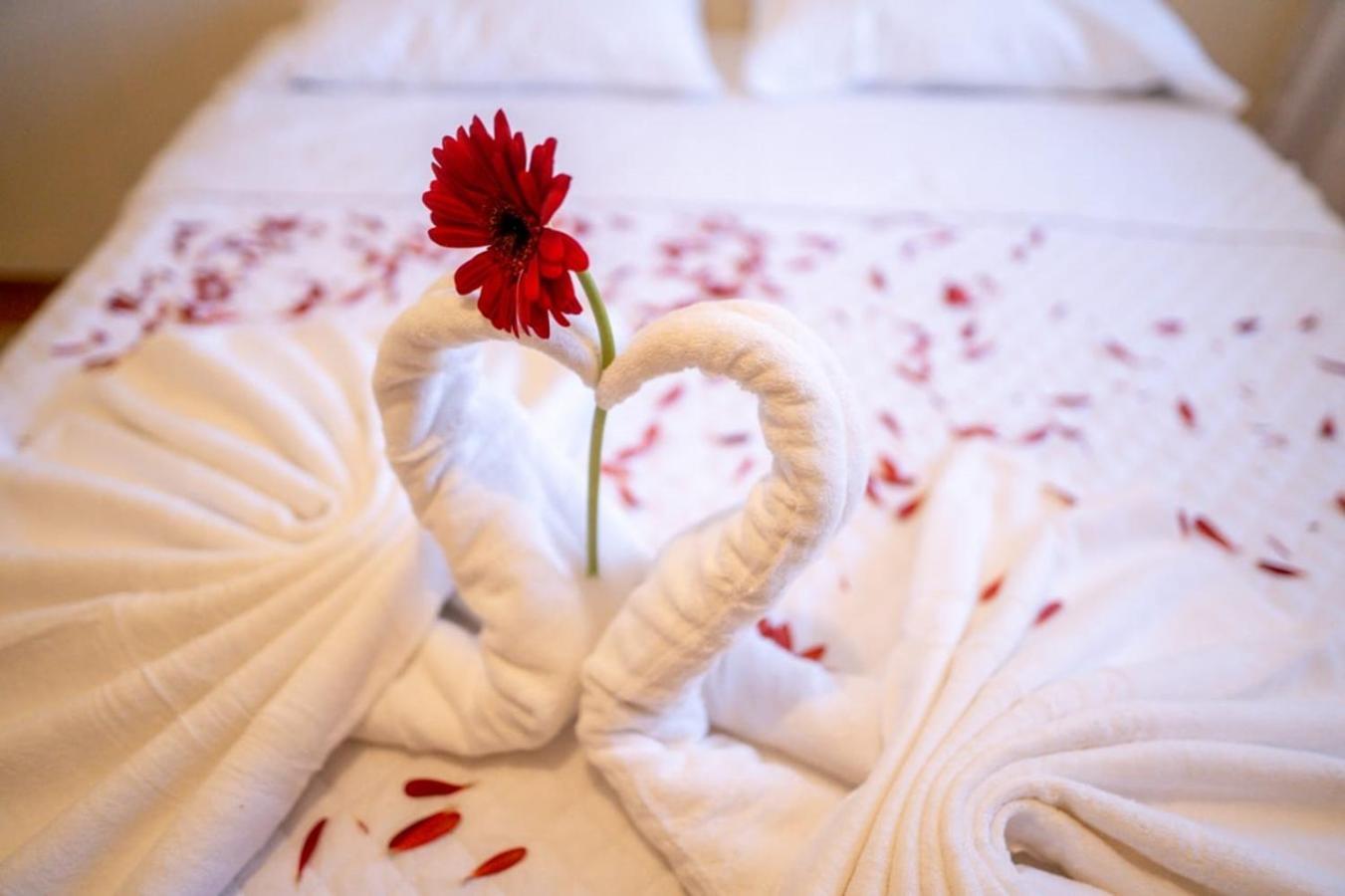 Hotel Los Manantiales ปานาคาเชล ภายนอก รูปภาพ
